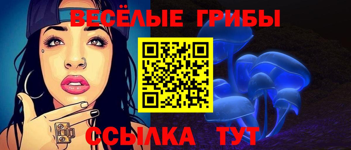 Псилоцибиновые грибы мицелий  наркота  Дюртюли  Вход с VPN 